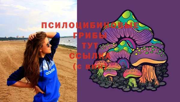 круглые Бронницы