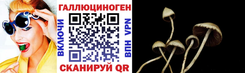 Галлюциногенные грибы GOLDEN TEACHER  МЕГА ссылки  Гулькевичи 