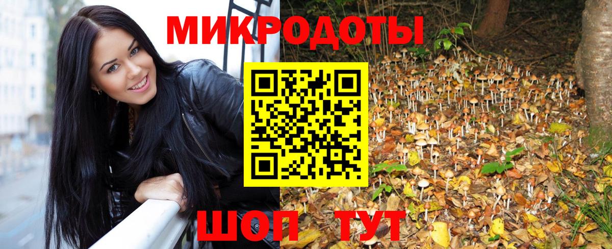 Гулькевичи  Псилоцибиновые грибы Psilocybine cubensis  Вход с VPN 